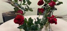 Ram de roses per cada unitat de convivència, per Sant Jordi, a la Residència Nazaret de Malgrat de Mar