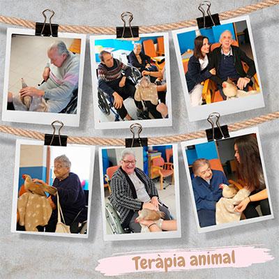 Terapia con animales en la Residència Nazaret de Malgrat de Mar, noviembre de 2023