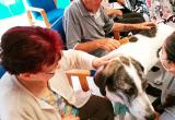 Resident gaudint de l'activitat