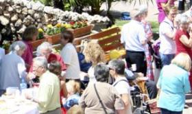 actividad física, alimentación y relaciones sociales